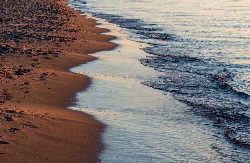 Adaptability and Resilience